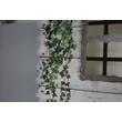 Kép 8/10 - Lombház formájú gyerekágy - Tree House - galériás - 1 fekvőhely felül, asztal és 2 szék alul