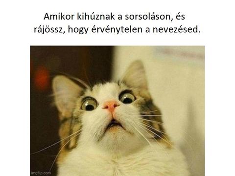 A leggyakoribb hibák a beérkezett pályázatoknál.