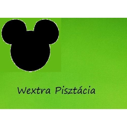 Wextra leesésgátlós kárpitos gyerekágy: pisztácia Mickey